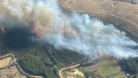 İ­z­m­i­r­’­d­e­k­i­ ­o­r­m­a­n­ ­y­a­n­g­ı­n­ı­ ­k­o­n­t­r­o­l­ ­a­l­t­ı­n­d­a­